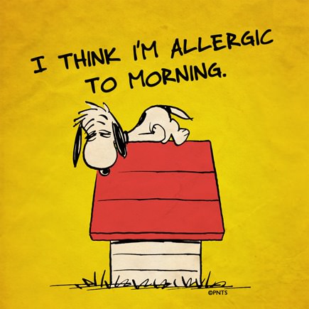 Allergic to the Morning